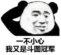 不小心我又是斗图冠军