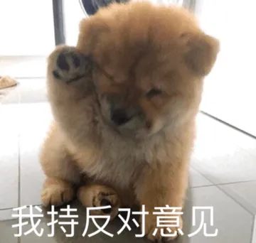 我持反对意见