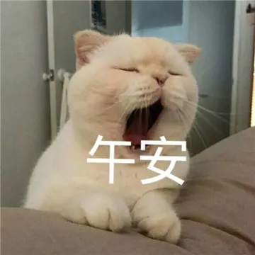 超可爱的午安打招呼专用微信表情包
