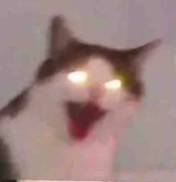 猫猫头表情包