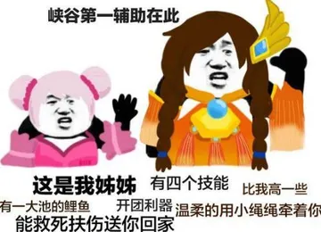峡谷第一辅助在此