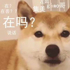 柴犬小Q来斗图