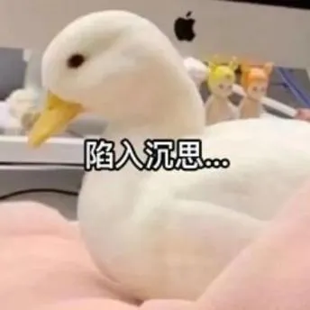 陷入沉思