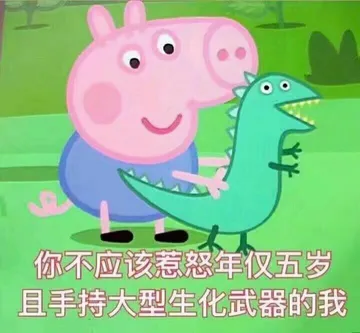 佩奇VI