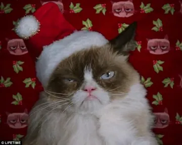 Grumpy Cat Christmas