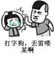 打字狗.丢雷喽某啊