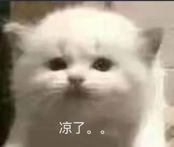 是喵星人啦00007-凉了猫
