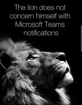 The King Of Digital Jungle