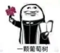 一颗葡葡树