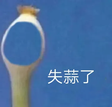 失蒜了
