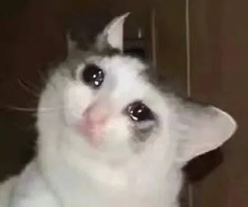 流泪猫猫头