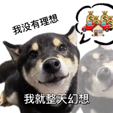 我没有理想我就整天幻想