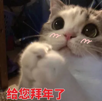 中国春节00001-给您拜年了