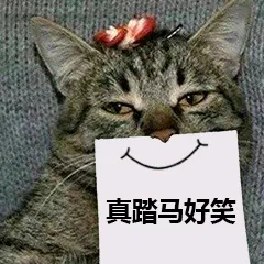 真踏马好笑（猫咪假笑）