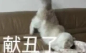 献丑了表情包分享