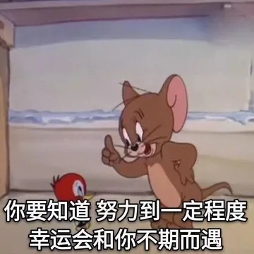 你要知道 努力到一定程度幸运会和你不期而遇的（猫和老鼠）
