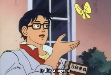 Is This A Pigeon (subtitled)