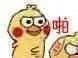 小幺鸡