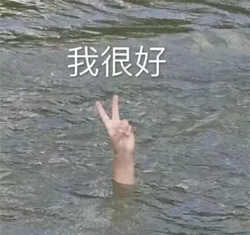 我很好（淹水里伸手比耶）