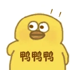 鸭鸭鸭