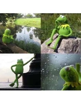 blank kermit waiting