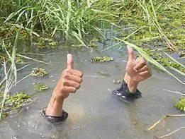 underWater