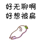一组金馆长动图表情包