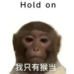 Hold on我只有猴当(吗喽表情包)