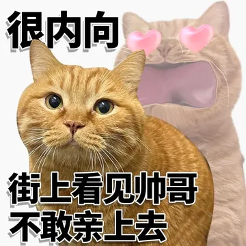 很内向街上看见帅哥不敢亲上去