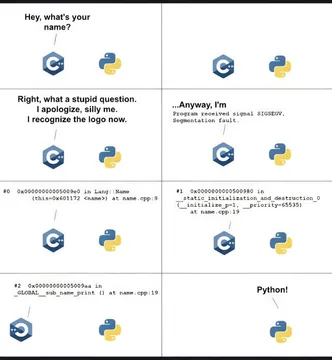 When Programming Languages Meet In The Wild