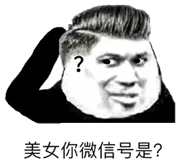 金馆长熊猫00201-美女你微信号是