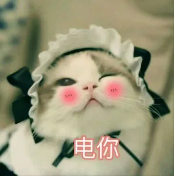 电你
