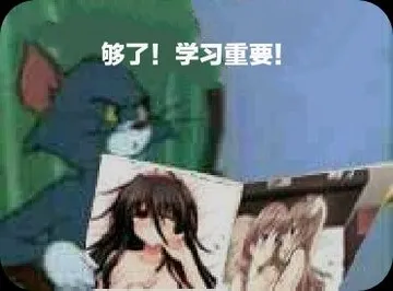 够了!学习重要!