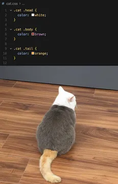 Cat Css