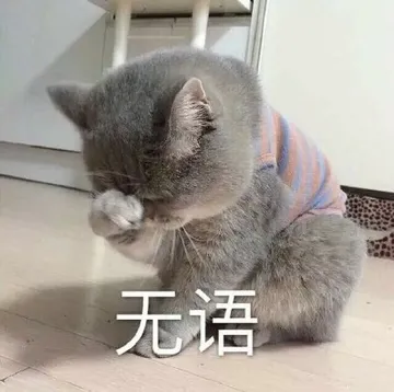 无语