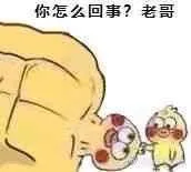 你怎么回事老哥（小黄鸡 鹦鹉兄弟表情包）