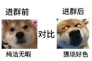 进群前进群后对比纯洁无暇猥琐好色(群聊表情包)