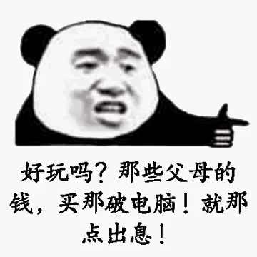 好玩吗?那些父母的钱.买那破电脑!就那点出息!