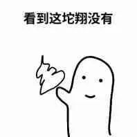 看到这坨翔没有