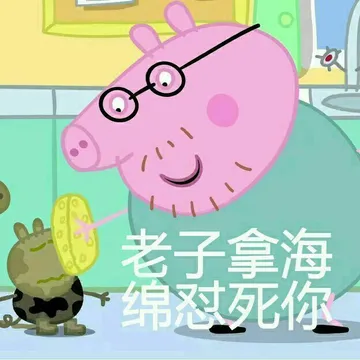 佩奇VI