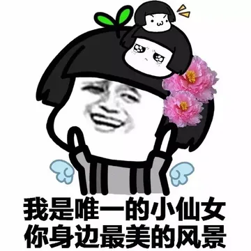 我是唯一的小仙女，你身边最美的风景