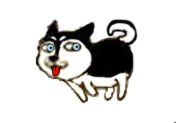 黑色的doge