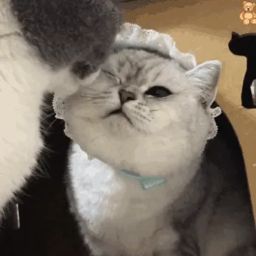 亲亲我的宝贝GIF