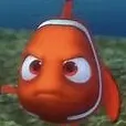 NEMO FWAF
