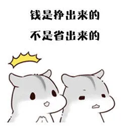 钱是挣出来的不是省出来的