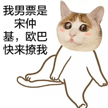 我男票是宋仲基，欧巴快来撩我