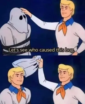 Let's See Who Really Caused This Bug