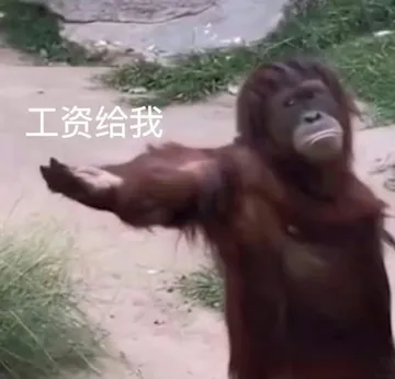 工资给我