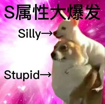S属性大爆发Silly-→→Stupid→
