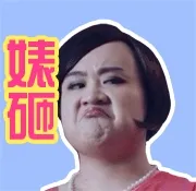 婊砸